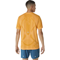 Asics Road Seamless Hardloop T-Shirt Voor Heren