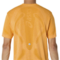 Asics Road Seamless Hardloop T-Shirt Voor Heren