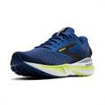 Brooks adrenaline gts 24