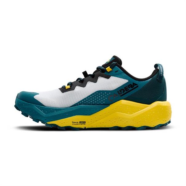 Brooks caldera 8