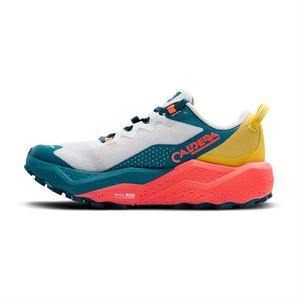 Brooks caldera 8