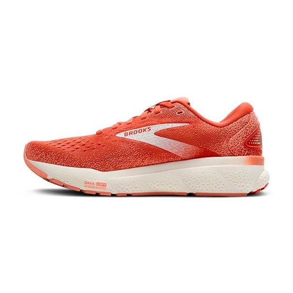 Brooks ghost 16