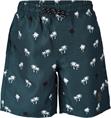Brunotti hestey-ao boys swimshort
