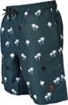 Brunotti hestey-ao boys swimshort