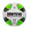 Derbystar derbystar futsal basic pro tt