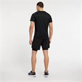 Energetics allen v m