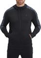 Energetics finn m