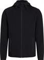 Energetics toddy viii m