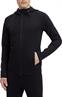 Energetics toddy viii m