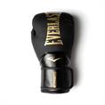 Everlast Elite 2 Bokshandschoenen