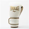 Everlast Powerlock 2R Trainingshandschoen