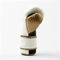 Everlast Powerlock 2R Trainingshandschoen