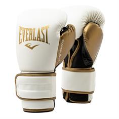 Everlast Powerlock 2R Trainingshandschoen