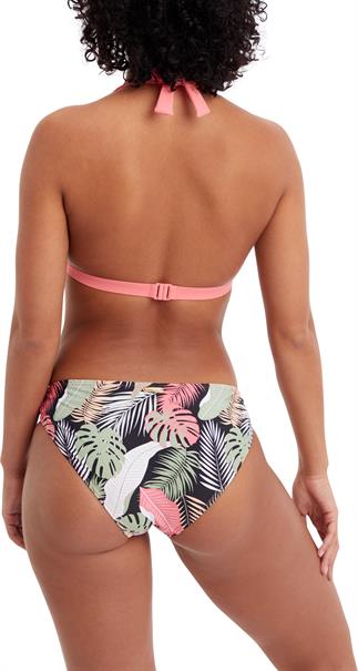Firefly beach miara w
