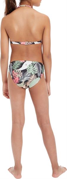 Firefly beach sita g