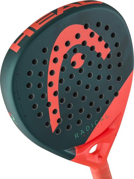 Head Radical Motion 2026