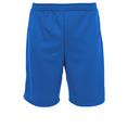 Hummel Euro shorts ii