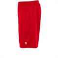 Hummel Euro shorts ii