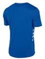 Hummel SV Raalte t-shirt incl. Gratis clublogo