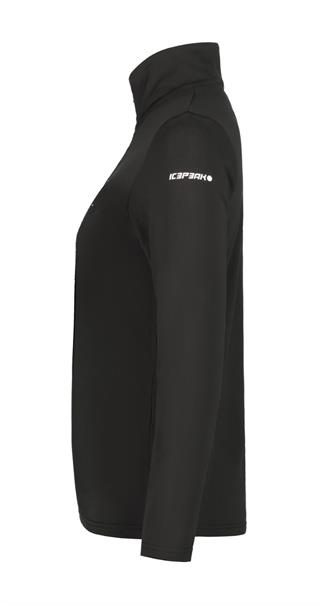 Icepeak ellenton