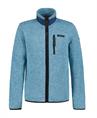 Icepeak Fleece jas heren