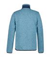 Icepeak Fleece jas heren
