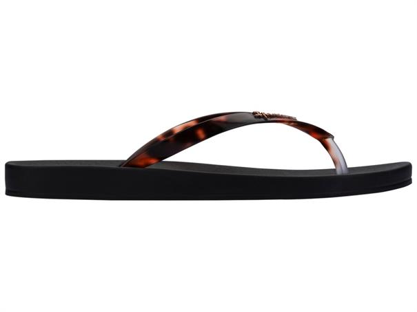 Ipanema anatomic connect