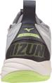 Mizuno wave momentum 2(w)