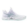 Mizuno wave momentum elite