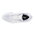 Mizuno wave momentum pro