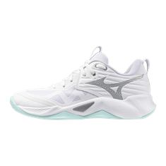 Mizuno wave momentum pro