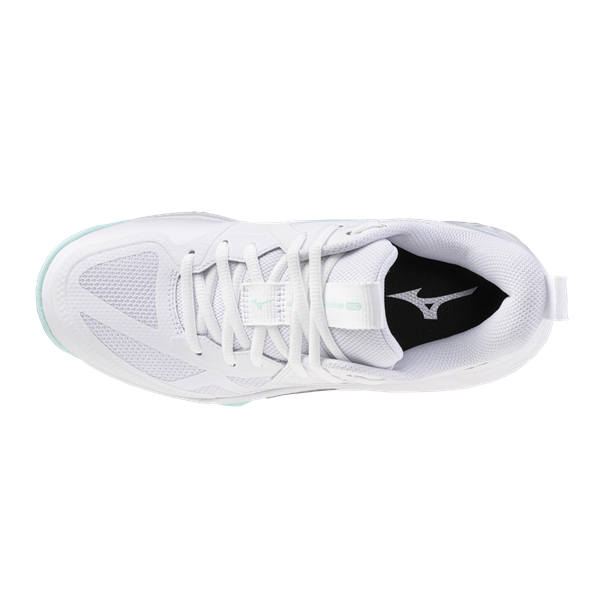 Mizuno wave momentum pro