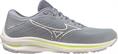 Mizuno wave rider 25(w)