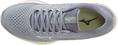 Mizuno wave rider 25(w)