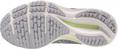 Mizuno wave rider 25(w)
