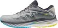 Mizuno wave rider 27(m)