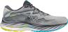 Mizuno wave rider 27(m)