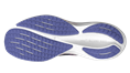 Mizuno wave rider 29