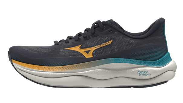 Mizuno wave sky 9