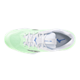 Mizuno Wave Stealth 6