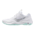 Mizuno wave stealth 6