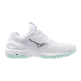 Mizuno wave stealth 6