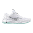 Mizuno wave stealth 6