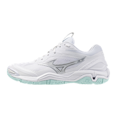 Mizuno wave stealth 6
