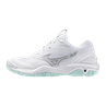 Mizuno wave stealth 6