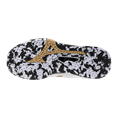 Mizuno wave stealth neo 2 kakizome