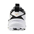 Mizuno wave stealth neo 2 kakizome