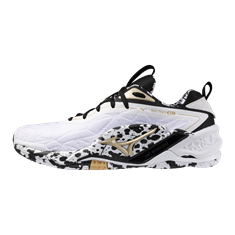 Mizuno wave stealth neo 2 kakizome