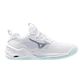 Mizuno wave stealth neo 2