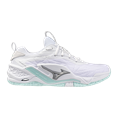 Mizuno wave stealth neo 2
